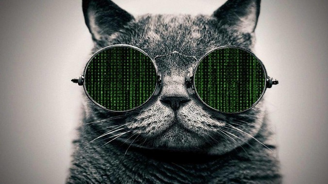 Web 前端怎样入门？